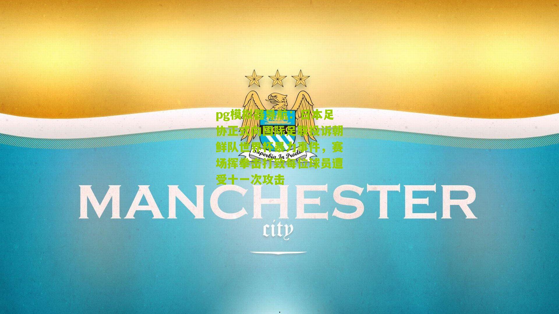 日本足协正式向国际足联投诉朝鲜队世界杯暴力事件，赛场挥拳击打致每位球员遭受十一次攻击