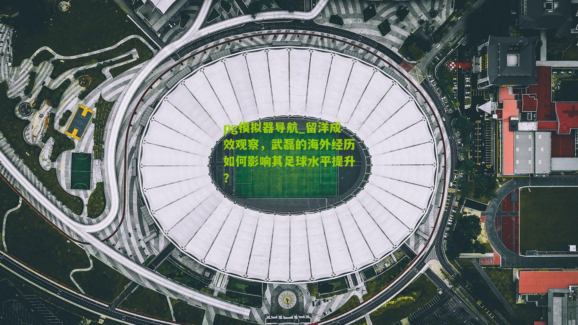 留洋成效观察,武磊的海外经历如何影响其足球水平提升?