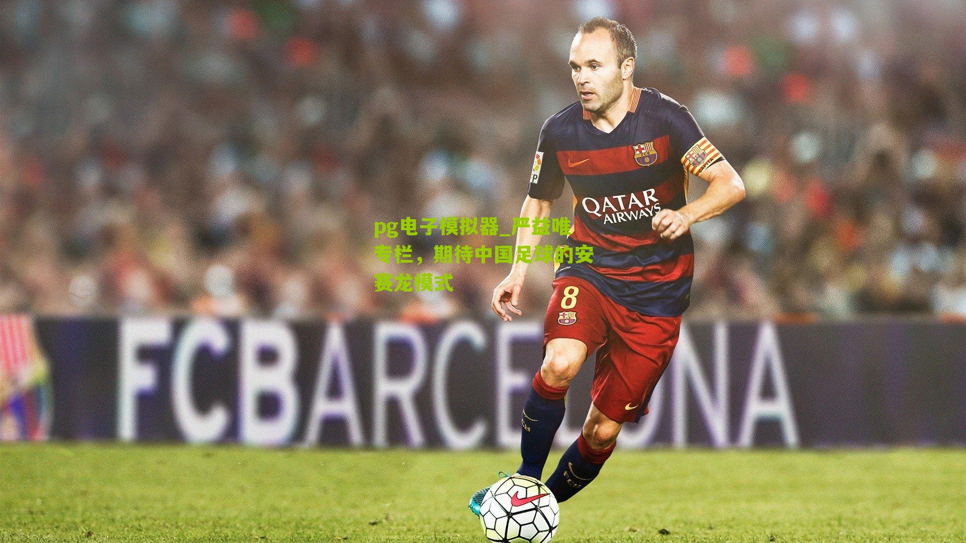 严益唯专栏,期待中国足球的安赛龙模式