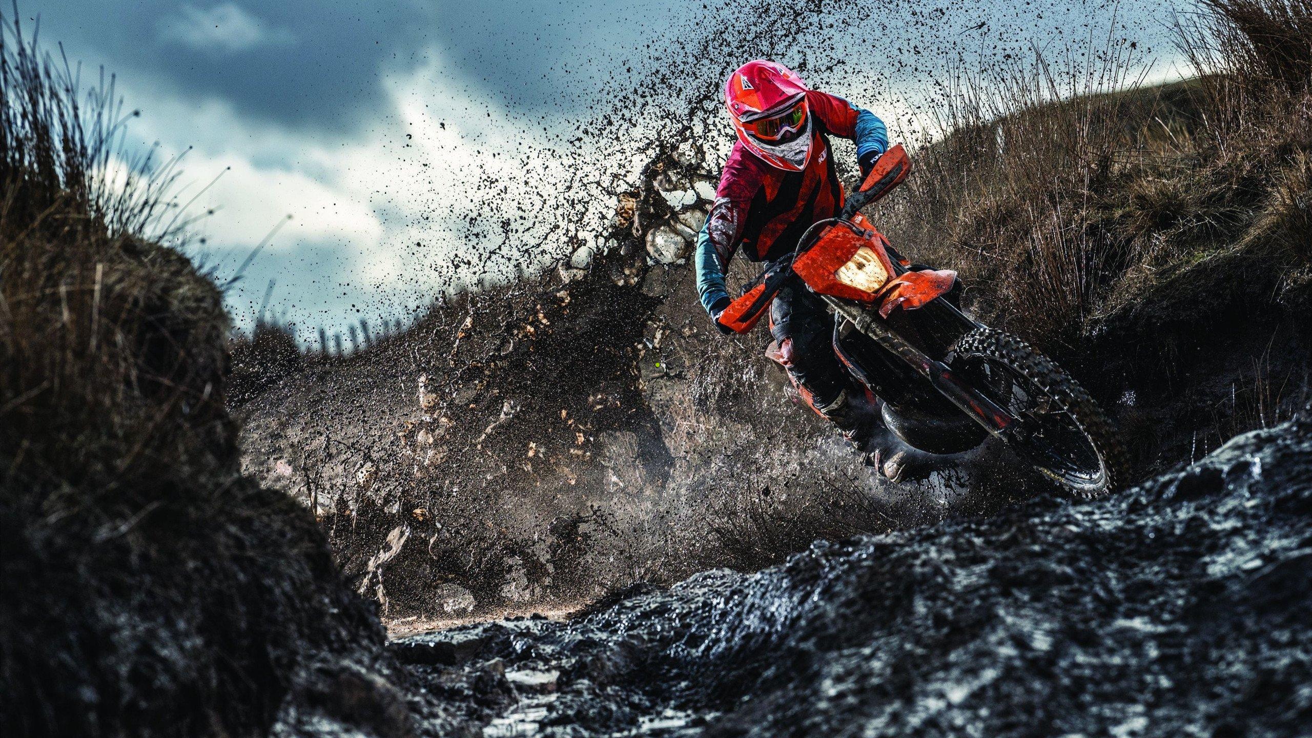 卡梅伦-约翰逊盛赞默里，全明星之路已清晰可见