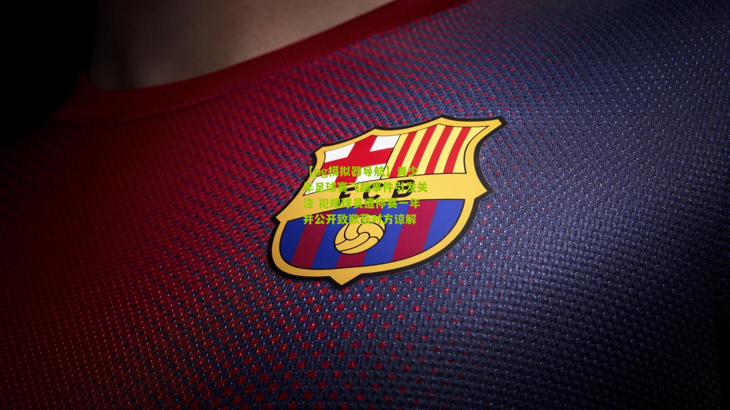 青少年足球赛飞踹事件引发关注 犯规球员遭停赛一年并公开致歉获对方谅解