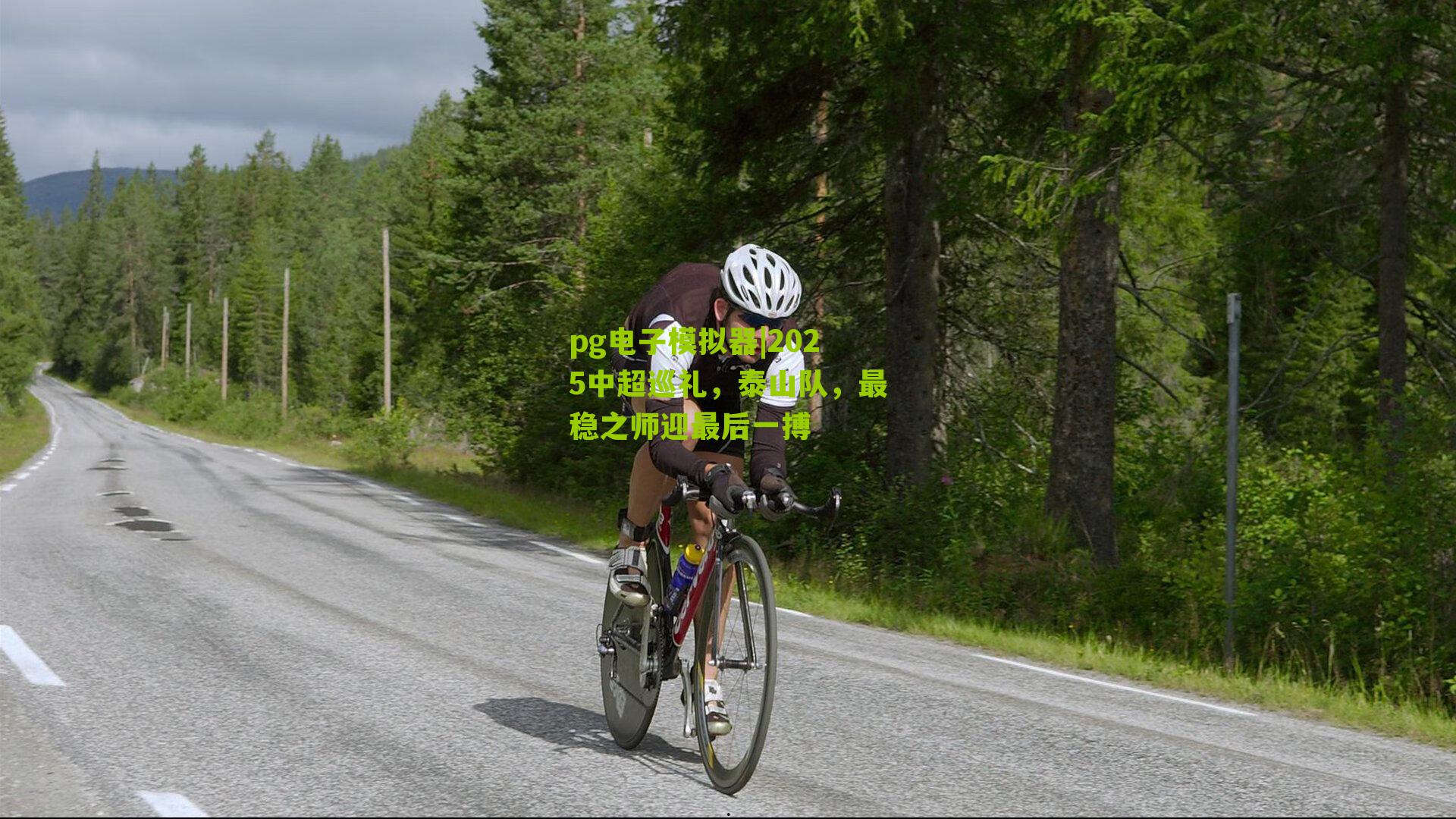 2025中超巡礼，泰山队，最稳之师迎最后一搏